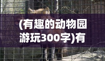 (有趣的动物园游玩300字)有趣的动物园游——探索奇妙动物世界的精彩之旅