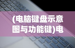 (电脑键盘示意图与功能键)电脑键盘示意图及其解释，深入了解键盘布局与功能