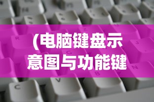 (电脑键盘示意图与功能键)电脑键盘示意图及其解释，深入了解键盘布局与功能