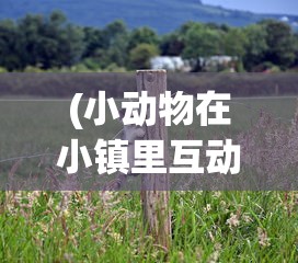 (小动物在小镇里互动的游戏有哪些)小动物互动游戏，小镇里的欢乐时光