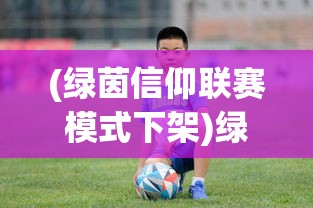 (绿茵信仰联赛模式下架)绿茵信仰联赛模式，探索足球竞技的全新篇章
