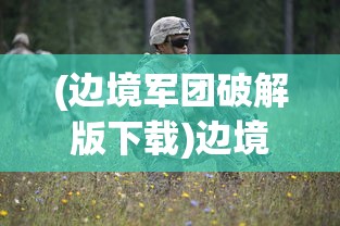 (边境军团破解版下载)边境军团，守护边疆的英勇战士