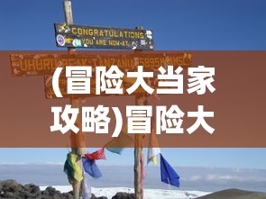 (冒险大当家攻略)冒险大当家塔防，策略与冒险的完美结合