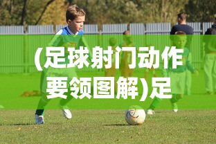 (足球射门动作要领图解)足球射门动作要领详解及其重要性