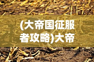 (大帝国征服者攻略)大帝国征服者，如何获得魔神？