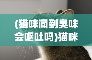 (猫咪闻到臭味会呕吐吗)猫咪闻到异味会引发呕吐吗，探究猫咪嗅觉与消化系统之间的关系