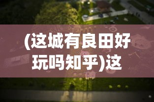 (快乐功夫茶歌词)快乐功夫茶之歌，一曲茶韵与快乐的融合