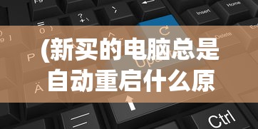 (新买的电脑总是自动重启什么原因)新买的电脑频繁自动重启，原因解析与解决方案