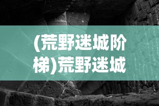 (荒野迷城阶梯)荒野迷城，24级升至25级所需天数探讨