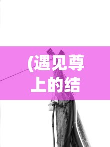 (遇见尊上的结局是什么)遇见尊上人物深度解析与介绍