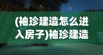 (袖珍建造怎么进入房子)袖珍建造物品全解锁，深度探索与常见问题解答