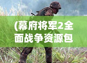 (幕府将军2全面战争资源包怎么用)幕府将军2全面战争资源包的深度解析