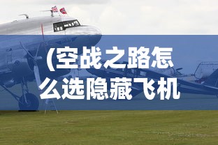 (空战之路怎么选隐藏飞机)空战之路，探索现代空中战争的演变与挑战