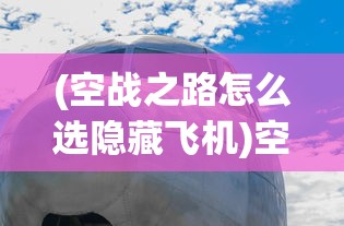 (空战之路怎么选隐藏飞机)空战之路，探索现代空中战争的演变与挑战