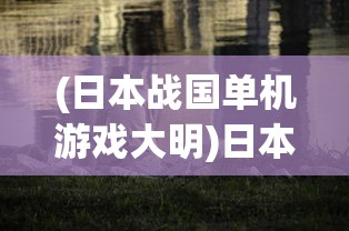 (日本战国单机游戏大明)日本战国单机游戏，历史与策略的深度交织