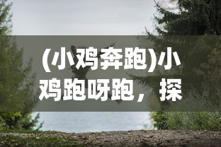 (小鸡奔跑)小鸡跑呀跑，探索成长与冒险的旅程