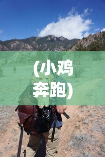 (小鸡奔跑)小鸡跑呀跑，探索成长与冒险的旅程