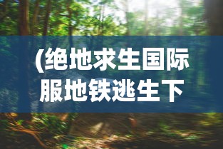 (绝地求生国际服地铁逃生下载教程)绝地求生国际服地铁逃生，安装指南与常见问题解答