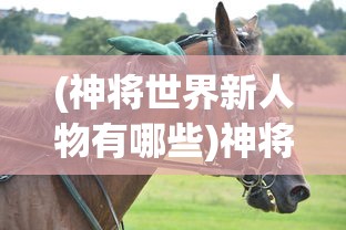 (神将世界新人物有哪些)神将世界新人物揭秘，探索未知的英雄世界