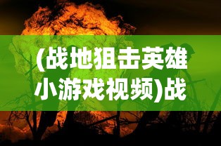 (战地狙击英雄小游戏视频)战地狙击英雄小游戏，英雄荣耀时刻的体验与挑战