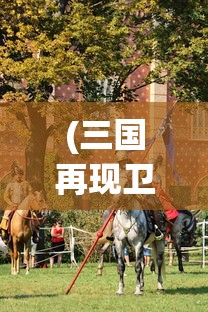 (三国再现卫霍小说)三国再现，历史与文化的交融盛宴