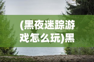 (黑夜迷踪游戏怎么玩)黑夜迷踪游戏，探索未知的冒险之旅