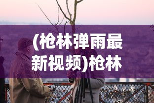 (枪林弹雨最新视频)枪林弹雨，战火纷飞的现实与文学描绘