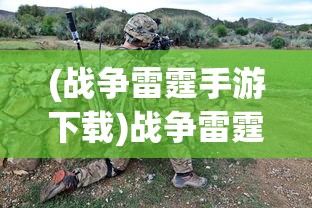 (战争雷霆手游下载)战争雷霆手游，游戏深度分析与常见问题解答