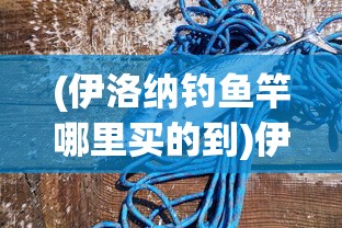 (伊洛纳钓鱼竿哪里买的到)伊洛纳钓鱼竿购买指南，哪里购买最方便？