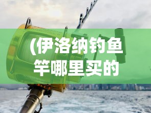 (伊洛纳钓鱼竿哪里买的到)伊洛纳钓鱼竿购买指南，哪里购买最方便？