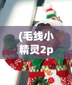 (毛线小精灵2pc端怎么两个人玩)毛线小精灵2联机攻略，两台电脑如何轻松连接游戏世界