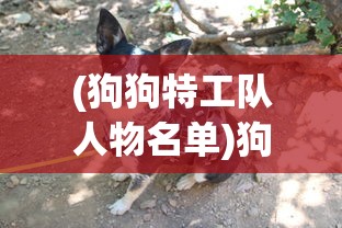 (狗狗特工队人物名单)狗狗特工队人物，揭秘英雄背后的故事