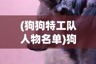 (狗狗特工队人物名单)狗狗特工队人物，揭秘英雄背后的故事