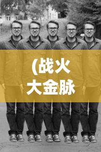 (战火大金脉电视剧全集免费)战火大金脉，深度解析与常见问题解答