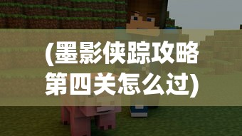 (墨影侠踪攻略第四关怎么过)墨影侠踪攻略大全，游戏指南与常见问题解答