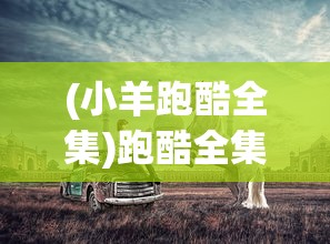 (小羊跑酷全集)跑酷全集，城市探险与极限运动的完美结合