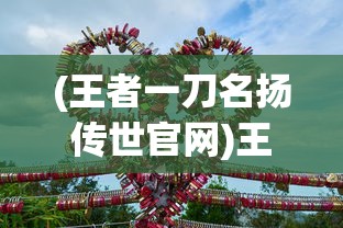 (王者一刀名扬传世官网)王者一刀，名扬传世，游戏内外的传奇故事