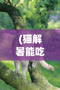 (猫解暑能吃冰块吗)猫解暑攻略，为猫咪度过炎炎夏日