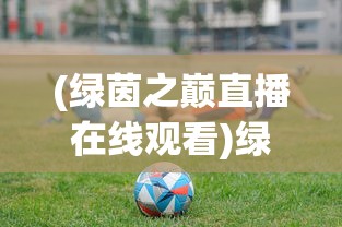 (绿茵之巅直播在线观看)绿茵之巅直播，重塑足球直播的新纪元