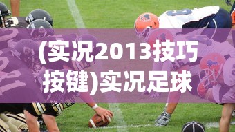 (实况2013技巧按键)实况足球2013，游戏概览与常见问题解答