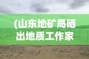 (山东地矿局晒出地质工作家底的照片)山东地矿局晒出地质工作家底，揭示资源潜力与未来挑战