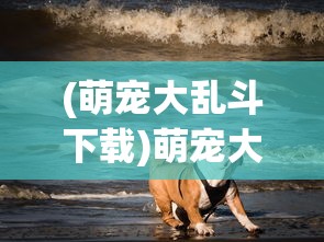 (萌宠大乱斗下载)萌宠大乱斗，一场别开生面的宠物竞技盛宴