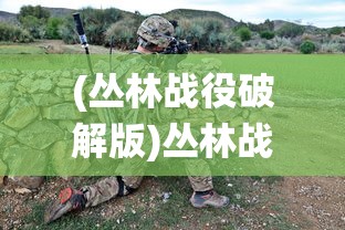 (丛林战役破解版)丛林战役手游手扣，深度解析与常见问题解答