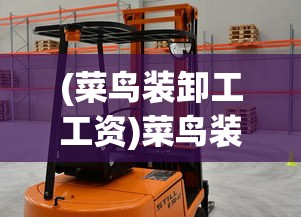 (菜鸟装卸工工资)菜鸟装卸，物流效率的关键一环