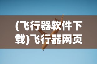 (飞行器软件下载)飞行器网页版，探索未来航空的新领域