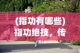 (指功有哪些)指功绝技，传统武术中的神奇技艺