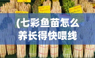 (七彩鱼苗怎么养长得快喂线蛇)七彩鱼苗怎么养长得快？全面养殖指南及常见问题解答