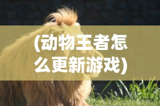 (动物王者怎么更新游戏)动物王者更新指南，如何获取最新动态与顺利更新游戏
