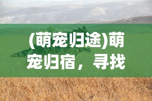 (萌宠归途)萌宠归宿，寻找宠物幸福的栖息地