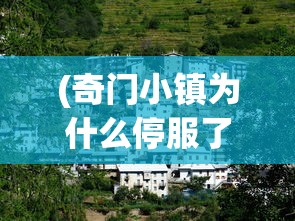 (奇门小镇为什么停服了呢)奇门小镇停服原因深度解析